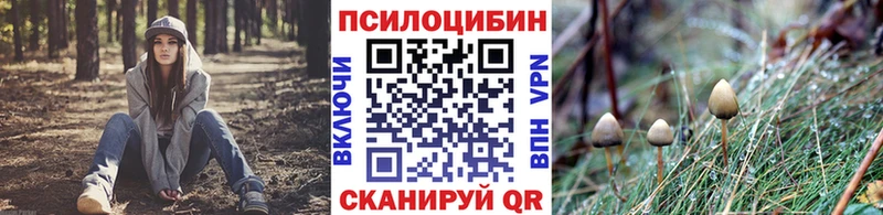 Галлюциногенные грибы Psilocybe  mega маркетплейс  Кумертау 