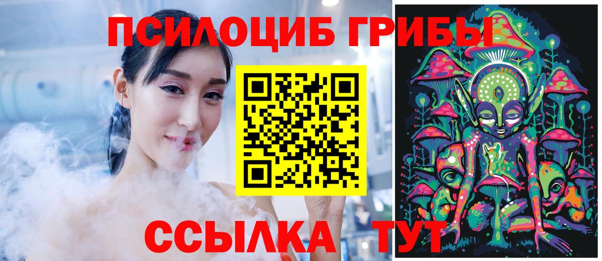 Галлюциногенные грибы Psilocybine cubensis Кумертау